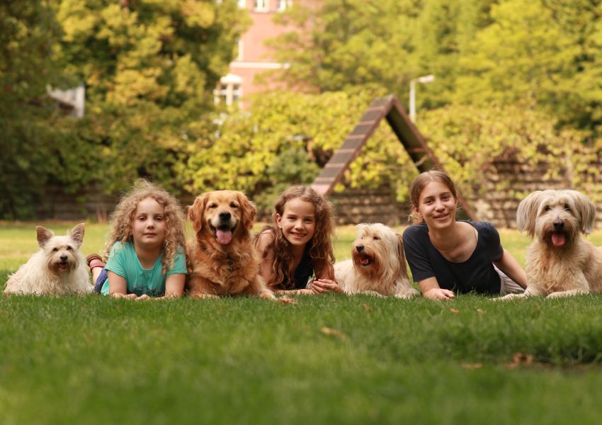 Hund und Kind Katze und Kind Probleme