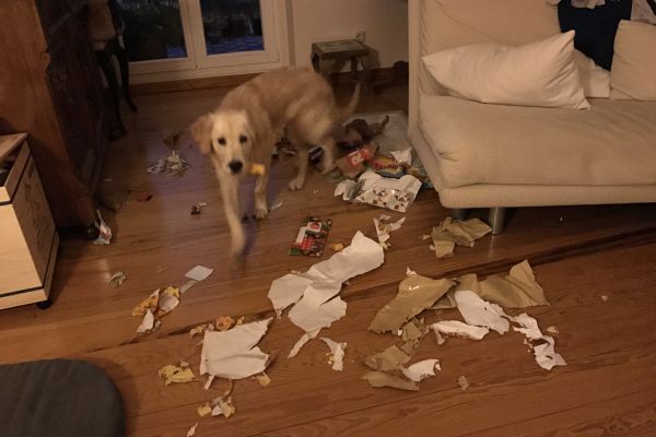 Verhaltenstherapie Beratung Trennungsangst