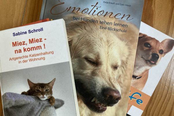 tierärztliche Beratung vor Anschaffung Katze Hund