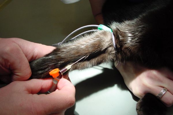 Abklärung körperliche Probleme Verhaltenstherapie