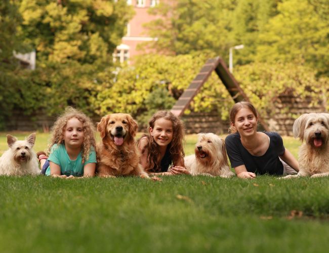 Tierverhalten einschätzen und ändern