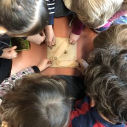 Verhalten Tiere ändern