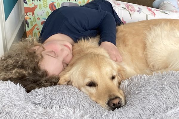 tierärztliche Beratung vor Anschaffung Katze Hund