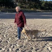 Tellington Balance - Leine 2-Kontakt-Führung